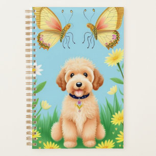 Agenda Goldendoodle Em Jardim