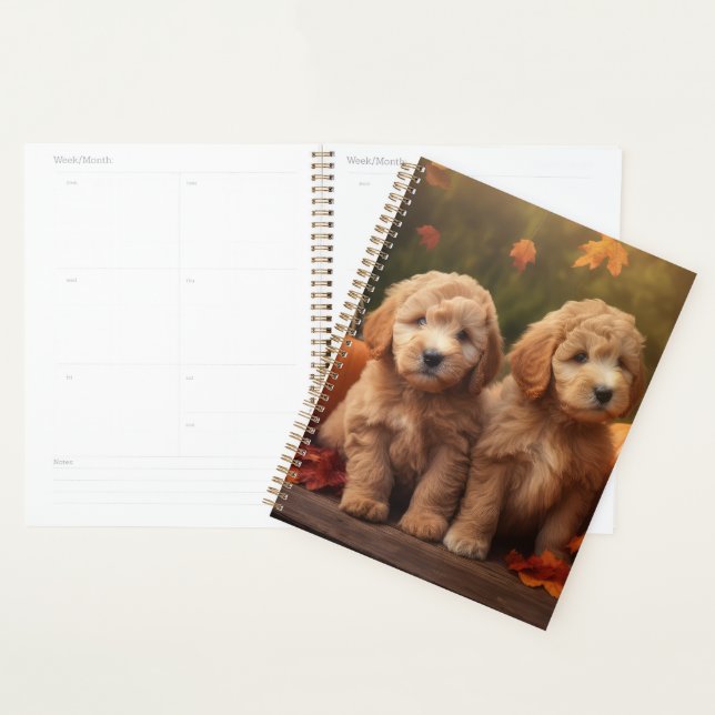 Agenda Goldendoodle Puppy Autumn Delight Pumpkin (Exibição)