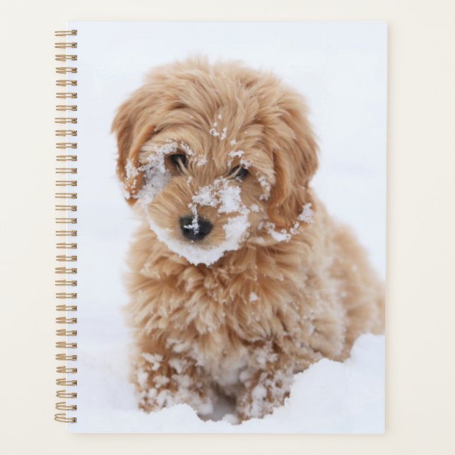 Agenda Goldendoododle Puppy Com Neve Virada (Frente)
