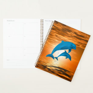 Agenda Golfinhos