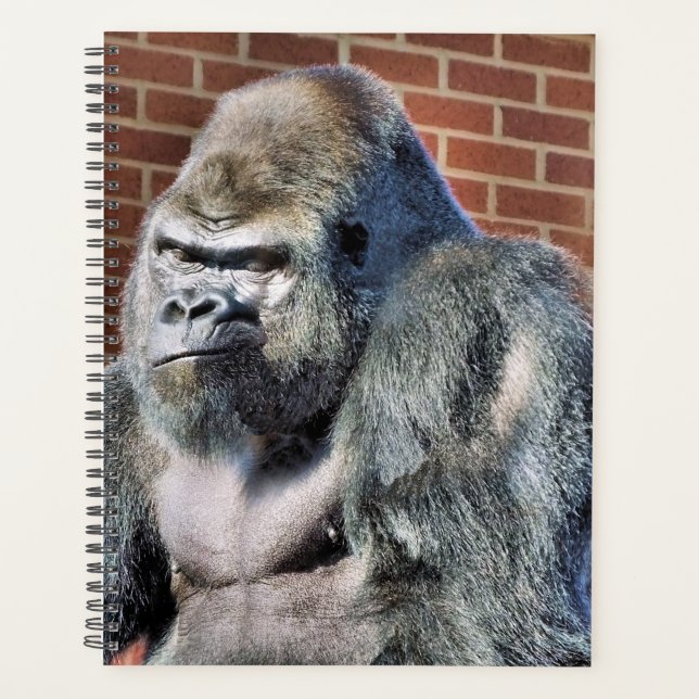 AGENDA GORILLA (Frente)