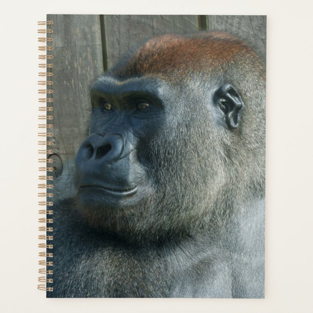 Agenda Gorilla Lope & Shufai (Frente)