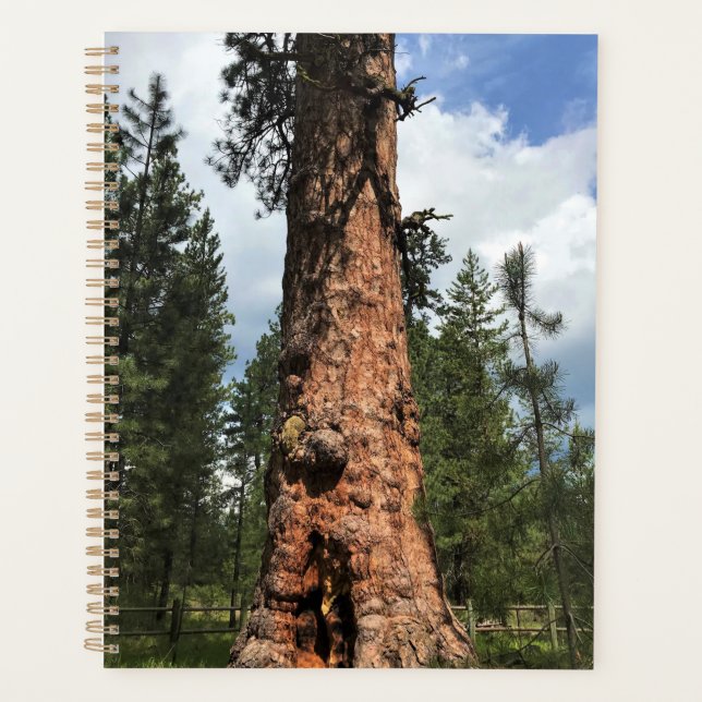 Agenda Grande Árvore Vermelha, La Pine, OU (Frente)