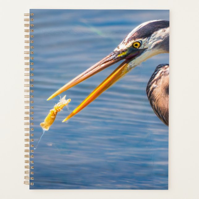 Agenda Great Blue Heron Hunting Prey Wildlife Art Print (Frente)