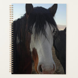 Agenda Hair in the Eyes Planner