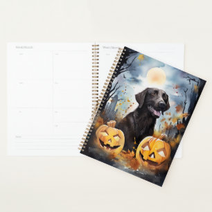 Agenda Halloween Nova Escotia Com Pumpkins Assustado
