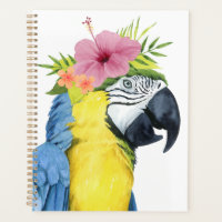 Halo Tropical - Papagaio