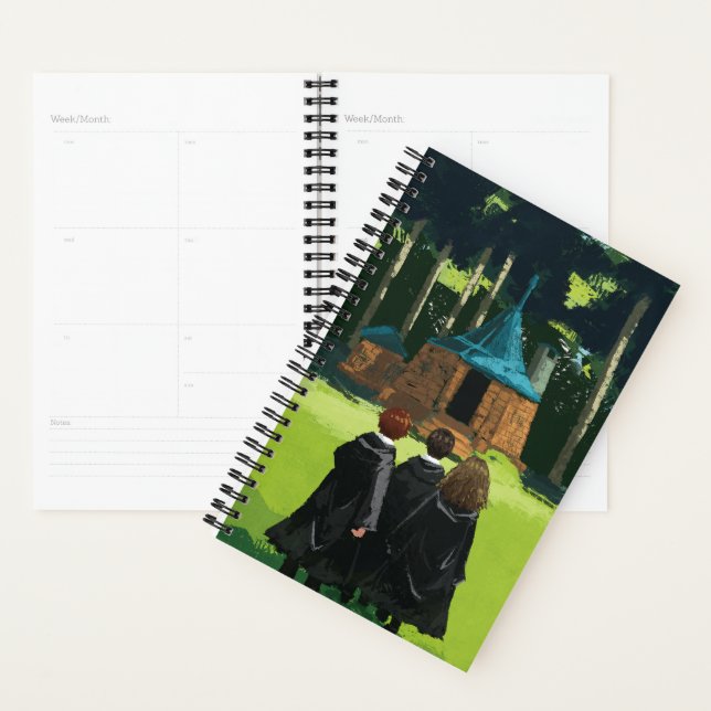 Agenda HARRY POTTER™, Ron e Hermione no Hut de Hagrid (Exibição)