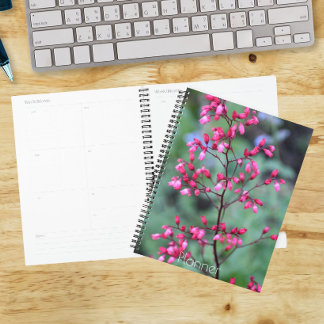 Agenda Heuchera Coral Sinos Florais