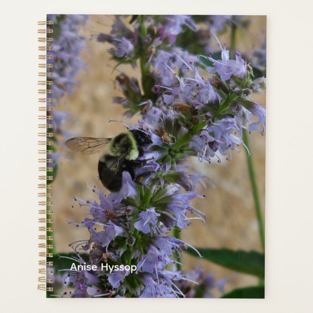 Agenda Hissopo de Anis (Frente)