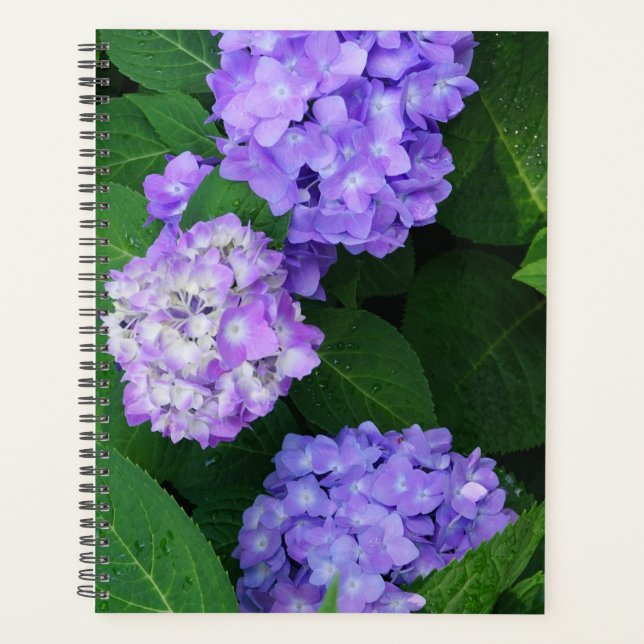 Agenda Hortênsia Lavanda (Frente)