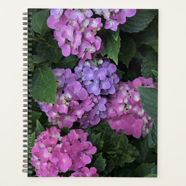 Agenda Hortênsia Rosa (Frente)