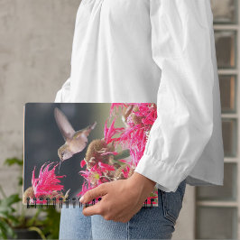 Agenda Hummingbird na Foto de Voo