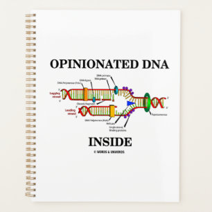Agenda Humor de Replicação de DNA Dentro de DNA Opinionad