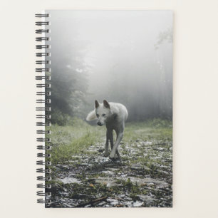 Agenda Husky Siberiano Branco