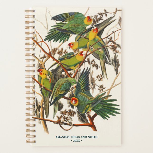 Agenda Ilustração de Vintage Parrots Gift do Pássaro (Frente)