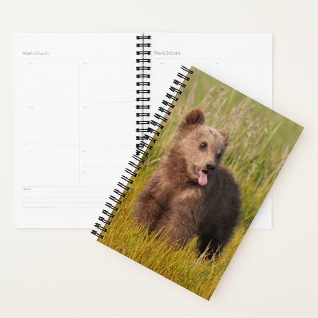 Agenda Imagens Getty | Bebê engraçado (Exibição)