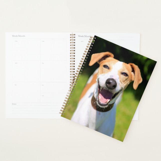 Agenda Imagens Getty | Cachorro Rindo (Exibição)