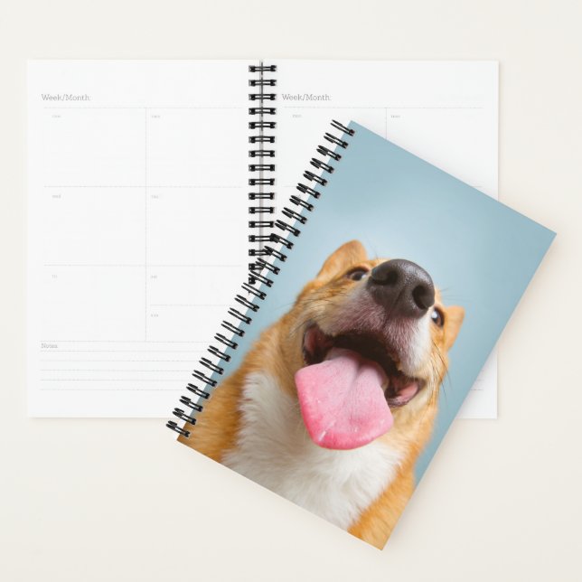 Agenda Imagens Getty | Corgi muito feliz (Exibição)
