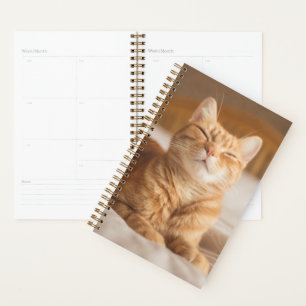 Agenda Imagens Getty Gato Sonolento