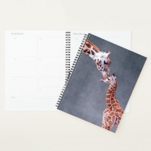 Agenda Imagens Getty Mãe e Bebê Girafa