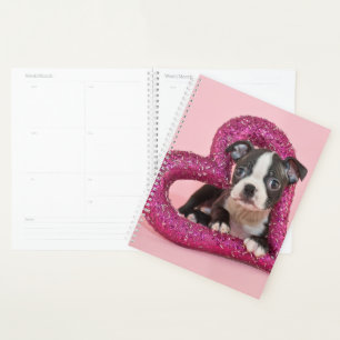 Agenda Imagens Getty Puppy Love
