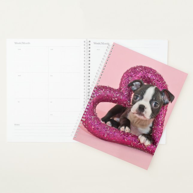 Agenda Imagens Getty | Puppy Love (Exibição)