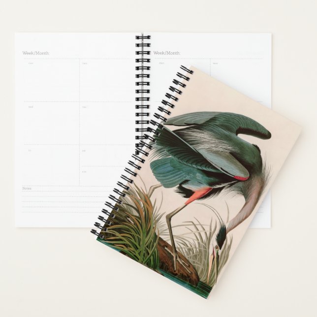 Agenda Impressão de excelente de Audubon, Aves Azuis- da  (Exibição)