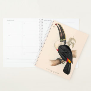 Agenda Impressão do Tucano-de-bico-preto de Cuvier: Ave T