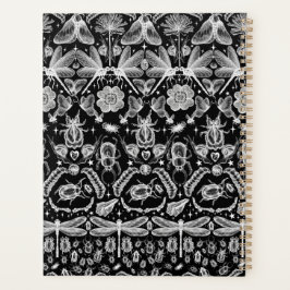 Agenda Insetos e Insetos