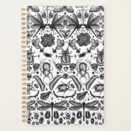 Agenda Insetos e Insetos