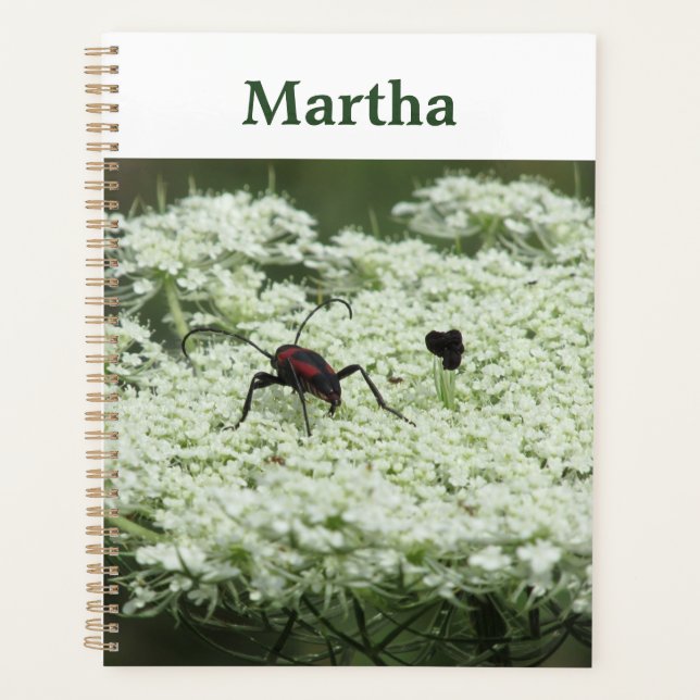 Agenda Insetos em Elderflower (Frente)