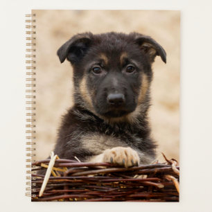 Agenda Invólucro Do german shepherd No Soquete