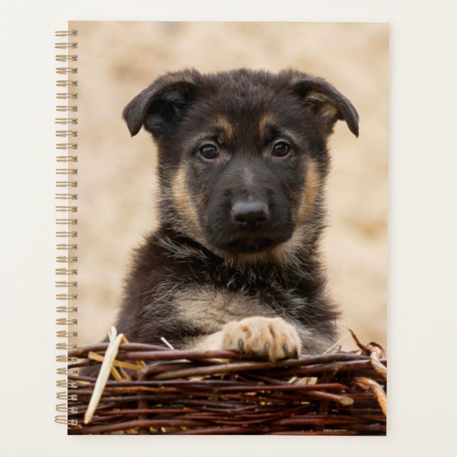 Agenda Invólucro Do german shepherd No Soquete (Frente)