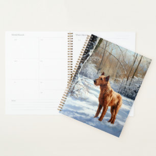 Agenda Irish Terrier Deixe Nevar Natal