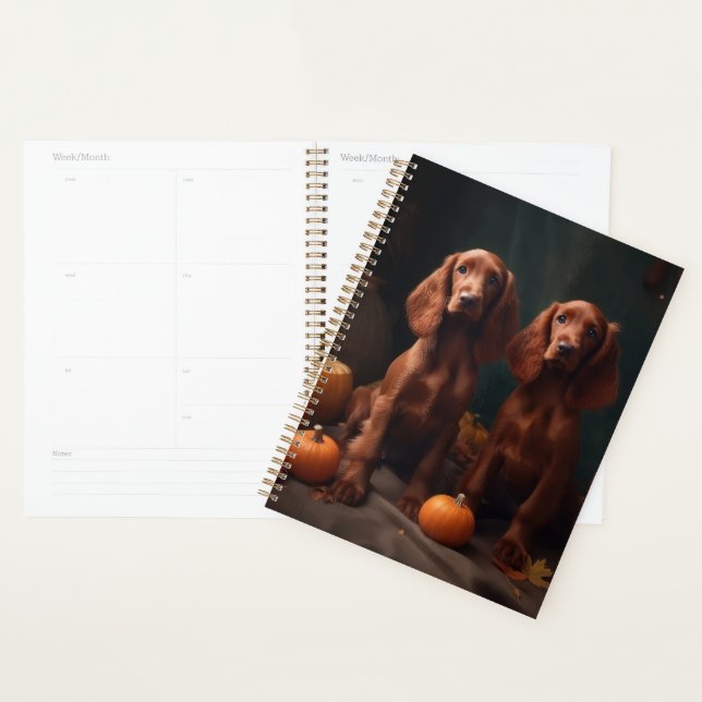 Agenda Irlandês Red Setter Puppy Autumn Delight Pumpkin (Exibição)