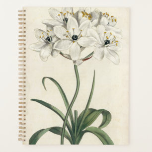 Agenda Ivory Garden