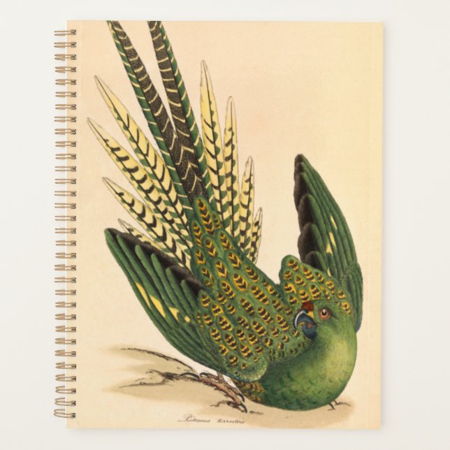 Agenda James Sowerby Ground Parrot, Psittacus terrestris (Frente)