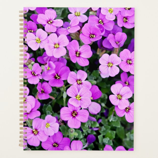 Agenda Jardim das Flores Roxas (Frente)