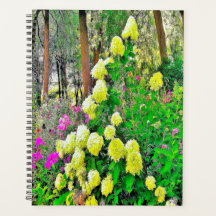 Jardim de Hydrangea do Chartreuse Green Limelight