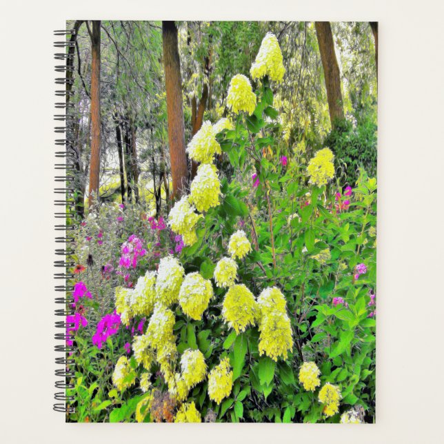 Agenda Jardim de Hydrangea do Chartreuse Green Limelight (Frente)