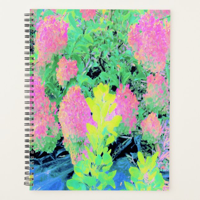Agenda Jardim de Hydrangea rosa com folhagem amarela (Frente)