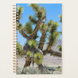 Agenda Joshua Tree na Califórnia