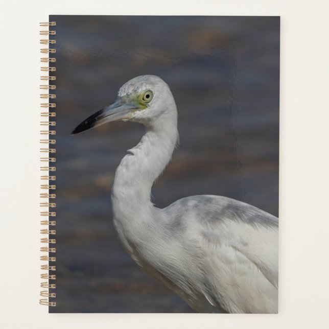 Agenda Juvenile Heron 2024 (Frente)