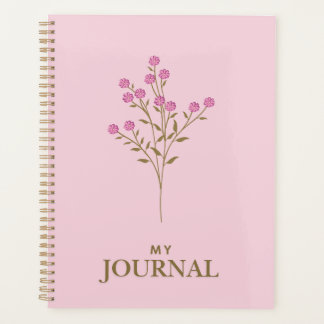 Agenda Kaye e Summer