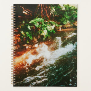 Agenda Kerosene Creek, Rotorua, Nova Zelândia