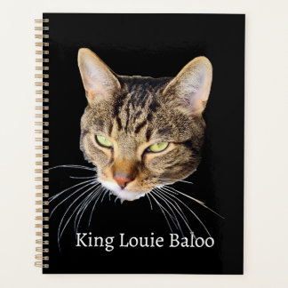 Agenda King Louie