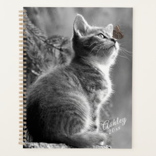 Agenda Kitten
