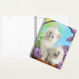 Agenda Kittens e Lilacs