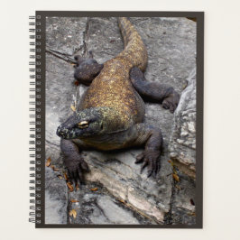 Agenda Komodo Dragon Nature Planner